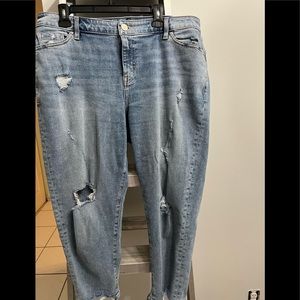 Lane Bryant size 14 Distress jeans!
